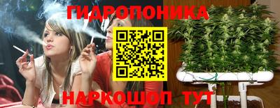 a pvp Шебекино